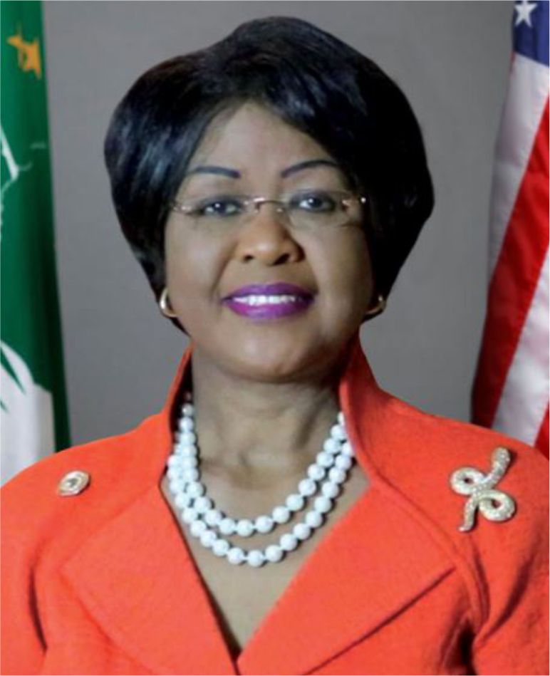 AAEFORUM Speaker 4 Ambassador Dr Arikana Chihombori Quao