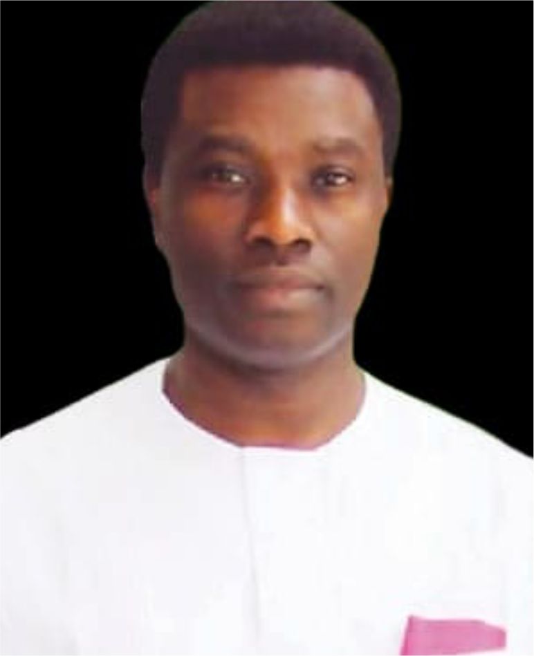 AAEFORUM Speaker 6 H E Ambassador Alistair Soyode